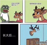 成为素食比萨饼很麻烦吗？干杯将解决
